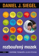 Rozbouřený mozek - Daniel J. Siegel