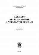 Základy neuroanatomie a nervových drah II