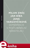 Demokracie v postliberální konstelaci - Milan Znoj, Jan Bíba, Jana Vargovčíková