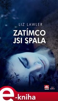 Zatímco jsi spala - Liz Lawler
