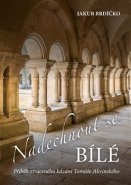 Nadechnout se bílé - Jakub Brdíčko