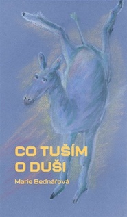 Co tuším o duši