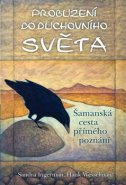 Probuzení do duchovního světa - Sandra Ingerman, Hank Wesselman