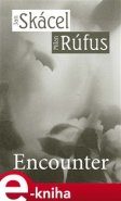 Encounter