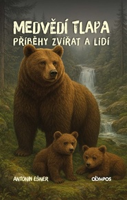 Medvědí tlapa