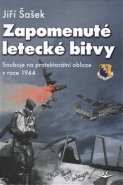 Zapomenuté letecké bitvy - Jiří Šašek