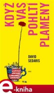 Když vás pohltí plameny - David Sedaris