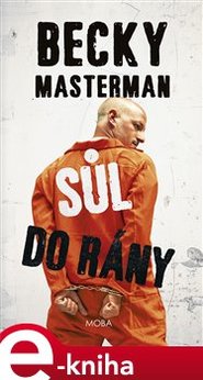Sůl do rány - Becky Masterman