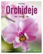 Orchideje - Joachim Erfkamp