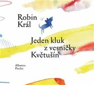 Jeden kluk z vesničky Květušín - Robin Král