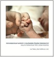 Psychosociální aspekty v současném českém porodnictví