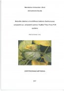 Metodika detekce a kvantifikace bakterie Xanthomonas campestris pv. campestris pomocí TaqMan® Real Time PCR systému