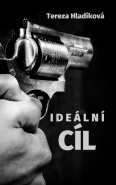 Ideální cíl