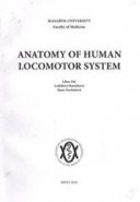 Anatomy of Human Locomotor System