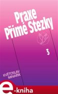 Praxe Přímé Stezky 3 - Květoslav Minařík