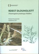 Rdest dlouholistý