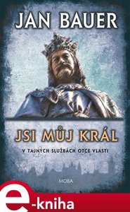 Jsi můj král - Jan Bauer