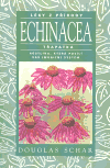 Echinacea -Třapatka - Douglas Schar
