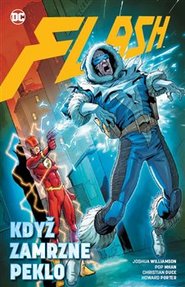 Flash 6: Když zamrzne peklo