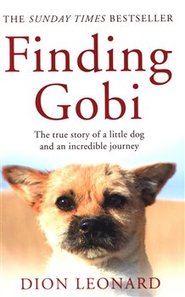 Finding Gobi - Dion Leonard