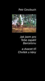 Jak jsem pro tebe zapálil Barcelonu