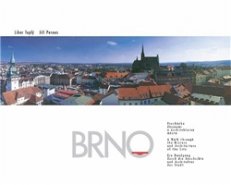 Brno – procházka dějinami a architekturou města - Jiří Pernes, Libor Teplý