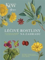 Léčivé rostliny na zahradu