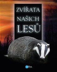 Zvířata našich lesů