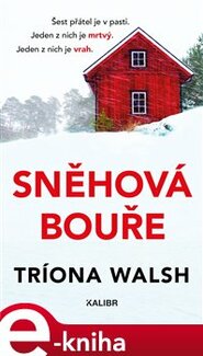 Sněhová bouře