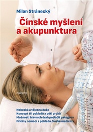 Čínské myšlení a akupunktura