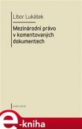 Visegrádská skupina a její vývoj v letech 1991-2004 - Libor Lukášek