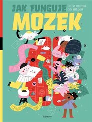 Jak funguje mozek?