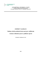Expert validace