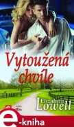 Vytoužená chvíle - Elizabeth Lowell