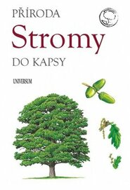 Stromy