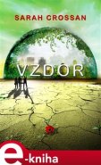 Vzdor