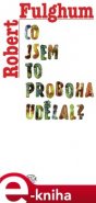 Co jsem to proboha udělal? - Robert Fulghum