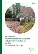 Variantní řešení obnovy lesa na kalamitních holinách - modely