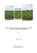 Zvýšení výnosu a nutriční hodnoty vybraných genotypů hrachu hnojením a agronomickou biofortifikací