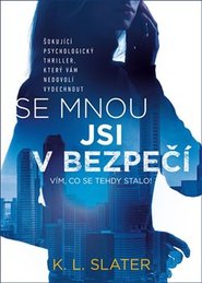 Se mnou jsi v bezpečí - K. L. Slater
