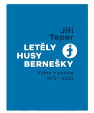 Letěly husy bernešky