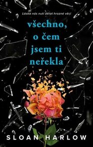 Všechno, o čem jsem ti neřekla