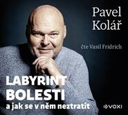 Labyrint bolesti - Pavel Kolář