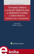 Evropská úmluva o ochraně lidských práv a základních svobod a zdravotnictví: současný stav a perspektivy - Jan Malíř, Tomáš Doležal