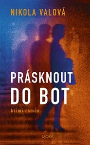 Prásknout do bot