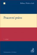 Pracovní právo, 7. vydání