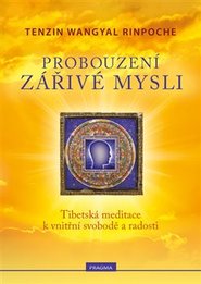 Probouzení zářivé mysli