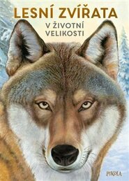 Lesní zvířata: V životní velikosti - Holger Haag