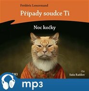 Případy soudce Ti: Noc kočky