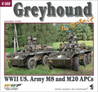 Greyhound in detail